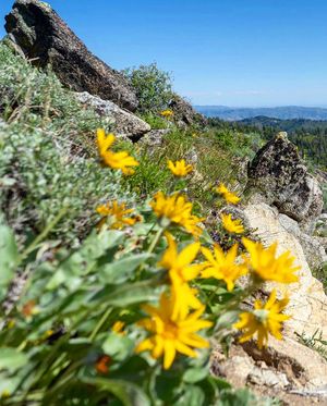 Image post by @boise_bucketlist on Instagram