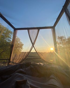 Image post by @chiawasafaris on Instagram