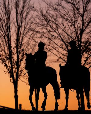 Image post by @breederscup on Instagram