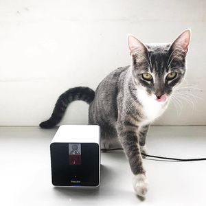 Image post by @yourfuzzy on Instagram