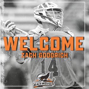 Image post by @towson_mlax on Instagram