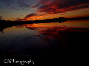 Image post by @c91photography on Instagram