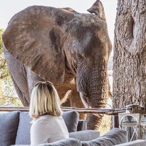 Image post by @chiawasafaris on Instagram