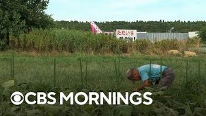 Video post by @cbsmornings on YouTube