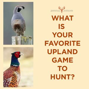 Image post by @barstooloutdoors on Instagram