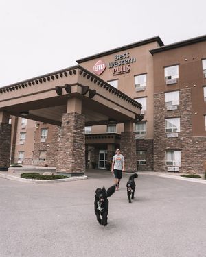 Image post by @bestwestern on Instagram