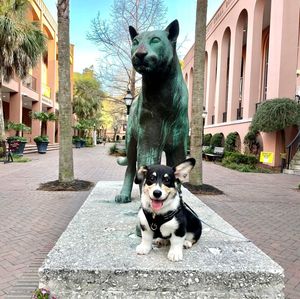 Image post by @collegeofcharleston on Instagram