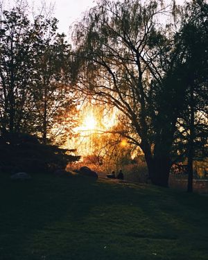 Image post by @mtl_unscripted on Instagram