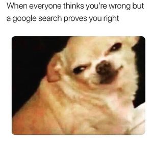 Image post by @the.virtual.bitch on Instagram