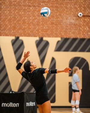 Image post by @wakevolleyball on Instagram