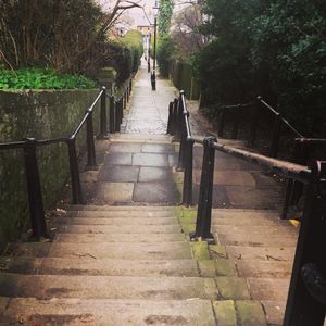 Image post by @lemondrop_social on Instagram