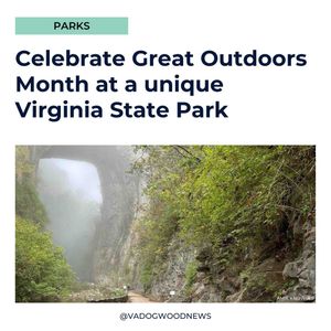 Image post by @vadogwoodnews on Instagram