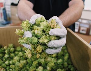 Image post by @sudwerkbrew on Instagram
