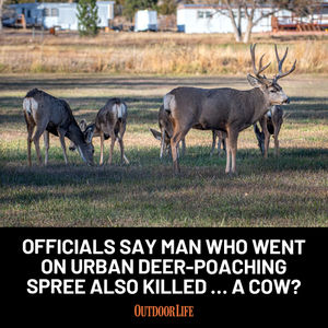 Image post by @outdoor_life on Instagram