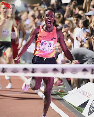 Image post by @dyestat on Instagram
