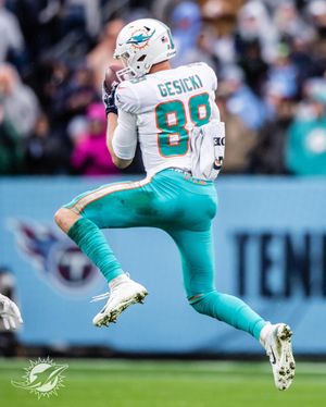 Image post by @miamidolphins on Instagram
