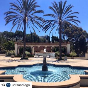 Image post by @usdmbb on Instagram