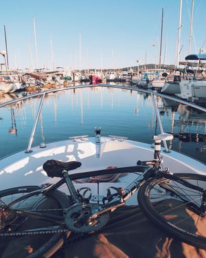 Image post by @willtrogdon on Instagram