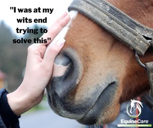 Image post by @equinecareprobiotic on Instagram