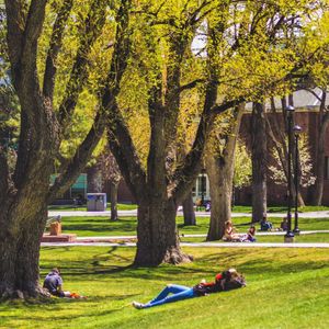 Image post by @nauflagstaff on Instagram