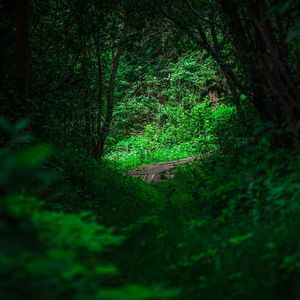 Image post by @outsideoptix on Instagram