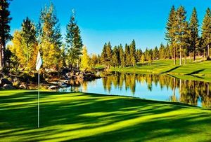 Image post by @barracudachampionship on Instagram