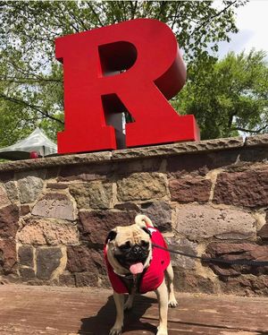 Image post by @rutgersnb on Instagram