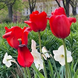 Image post by @depauljournalism on Instagram