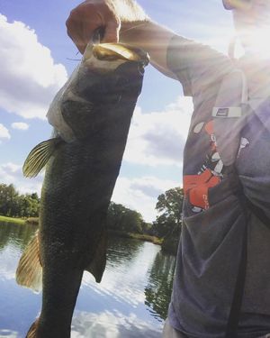 Image post by @wyndhamclark on Instagram