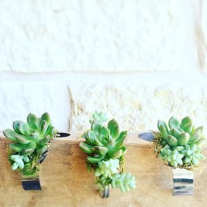 Image post by @thebloombartx on Instagram