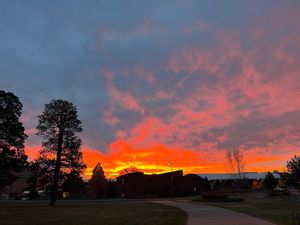Image post by @nauflagstaff on Instagram