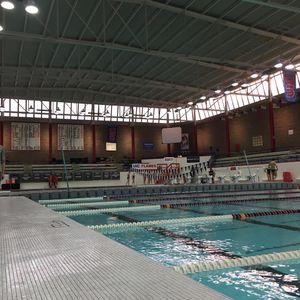 Image post by @oaklandswimdive on Instagram