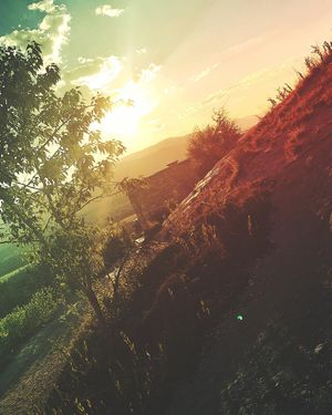 Image post by @glenroy on Instagram