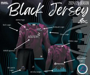 Image post by @stlouisambush on Instagram