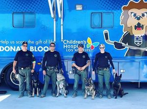 Image post by @vcsheriff on Instagram