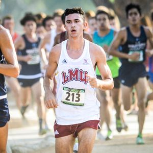 Image post by @lmulions on Instagram