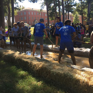 Image post by @uofmemphis on Instagram