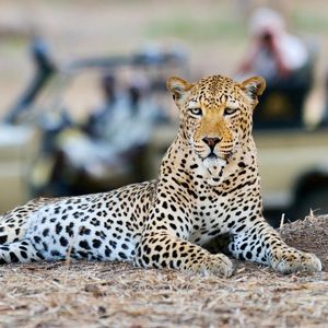 Image post by @chiawasafaris on Instagram