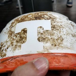 Image post by @rawlingstigers on Instagram