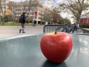 Image post by @stonybrooku on Instagram