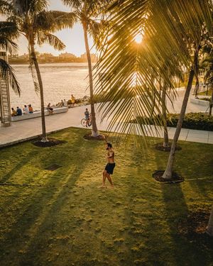Image post by @serfermedia on Instagram
