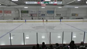 Image post by @usphlhockey on Instagram