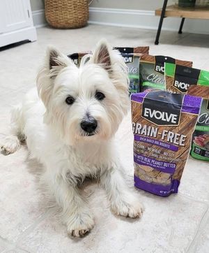 Image post by @evolvepetfood on Instagram