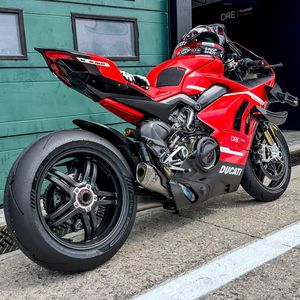 Image post by @panigalers on Instagram