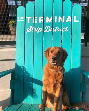 Image post by @sdterminal on Instagram