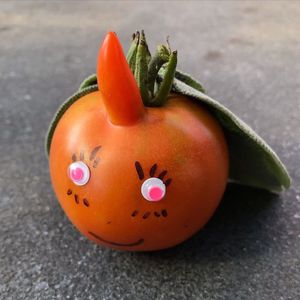 Image post by @kidsgardening on Instagram