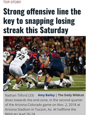 Image post by @dailywildcat on Instagram