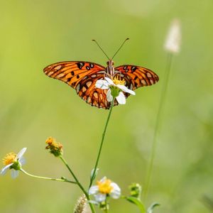 Image post by @nationalparktrust on Instagram