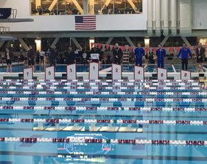 Image post by @wpiswimdive on Instagram
