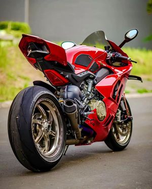 Image post by @panigalers on Instagram